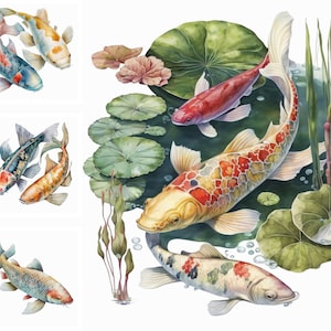 9 Koi Fish Clipart Variety Bundle, Commercial Use Allowed, Digital Design Bundle, Collage Crafts, PNG files