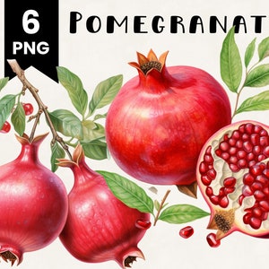 Peut inclure: Illustration à l'aquarelle de grenades. L'image présente des grenades entières et tranchées, mettant en valeur le fruit et les graines rouges vifs. Des feuilles et des branches vertes sont également incluses, ainsi que le texte "6 PNG" et "POMEGRANATE".
