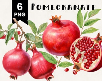 Watercolor Pomegranate Clipart Bundle: Commercial Use PNG Files