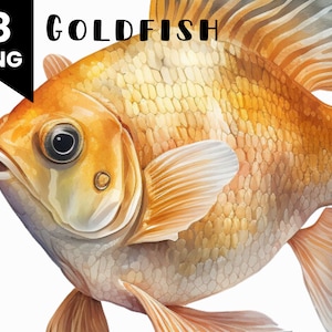 8 Goldfish Watercolor Illustrations, Commercial Use Allowed, Digital Design Bundle, Collage Crafts, PNG files