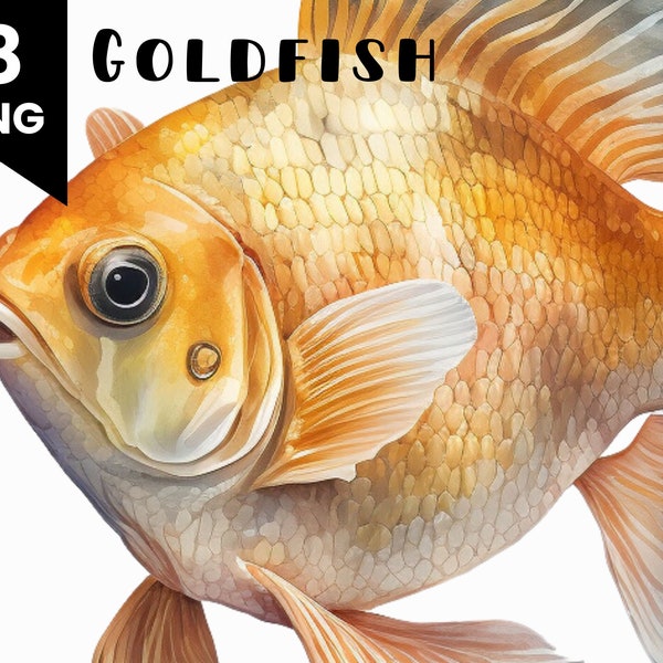 8 Goldfish Watercolor Illustrations, Commercial Use Allowed, Digital Design Bundle, Collage Crafts, PNG files