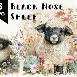 Schapen Kwekerij Kunst Zwarte Neus Schapen Aquarel Illustratie Commercieel Gebruik Digital Design Bundel Kwekerij Wall Art POD