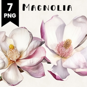 Magnolia Flower Clipart Watercolor Illustration Commercial Use Digital Design Bundle for POD Sublimation Scrapbooking Collage Floral Clipart
