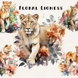 Lioness and Flowers Clipart Bundle Commercial Use Watercolor Jungle Lioness in Field of Flowers Digital Design Bundle PNG Files