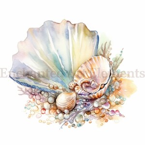 Op de afbeelding: Een aquarel schilderij van schelpen. Een grote, iriserende schelp is open, waardoor een kleinere schelp zichtbaar wordt. Er zijn verschillende kleinere schelpen verspreid rond de grotere schelp, samen met een paar kleine, ronde, parel-achtige objecten.
