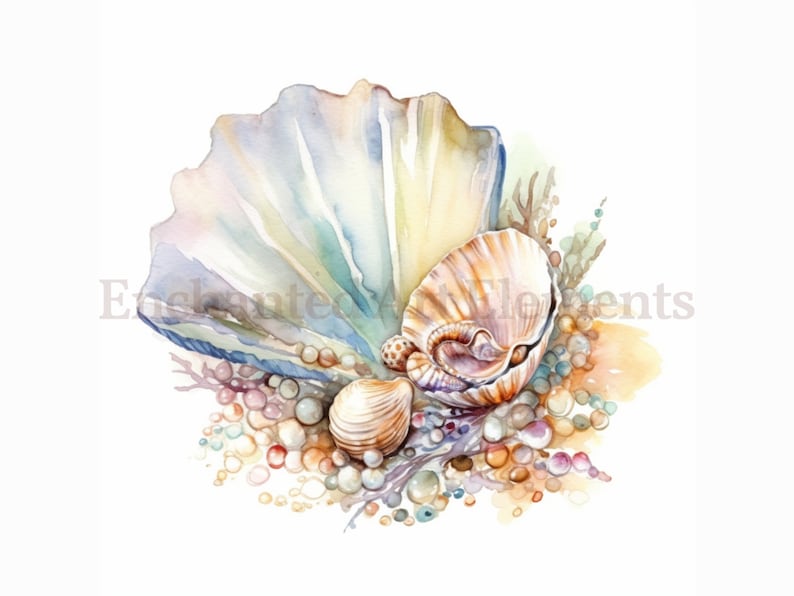 Op de afbeelding: Een aquarel schilderij van schelpen. Een grote, iriserende schelp is open, waardoor een kleinere schelp zichtbaar wordt. Er zijn verschillende kleinere schelpen verspreid rond de grotere schelp, samen met een paar kleine, ronde, parel-achtige objecten.