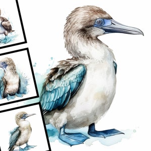 May include: Watercolor painting of a blue-footed booby bird with a light brown head and a blue body. The bird is standing on a white background with blue watercolor splatters.