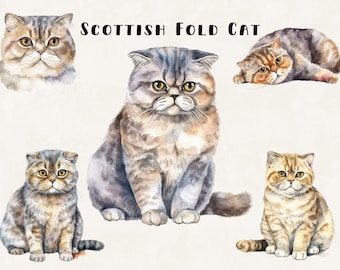 スコティッシュフォールドの水彩猫のイラストグラフィック - 商用利用