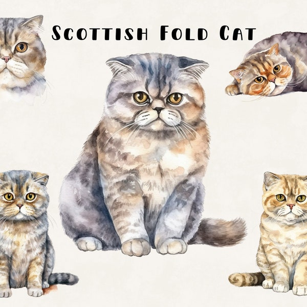 Scottish Fold Cat Clipart Bundle Commercial Use Watercolor Digital Design Bundle PNG Files