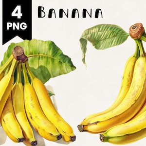 Bananen Clipart Bundle Kommerzielle Nutzung Aquarell Bananen Obst Digital Design Bundle PNG Dateien