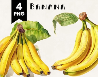 Banane Clipart Bundle Uso commerciale Acquerello Banana Fruit Digital Design Bundle File PNG