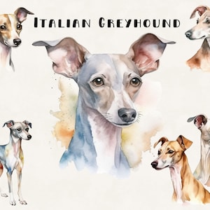 File PNG del pacchetto di Clipart del cane levriero italiano uso commerciale acquerello Digital Design Bundle