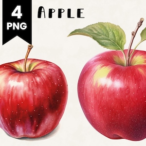 Pacote de clipart da Apple Uso comercial Maçãs em aquarela Pacote de design digital Arquivos PNG