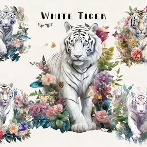 Tigre blanc et fleurs Clipart Bundle utilisation commerciale aquarelle Jungle tigre dans le champ de fleurs Digital Design Bundle PNG fichiers
