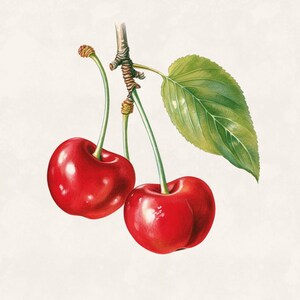 May include: Illustration of two ripe red cherries with green stems and a single green leaf. The cherries are glossy and appear freshly picked, set against a soft, off-white background. A botanical-style depiction.