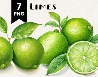 Lime clipart bundel commercieel gebruik aquarel limoenen fruit digitale ontwerp bundel PNG-bestanden