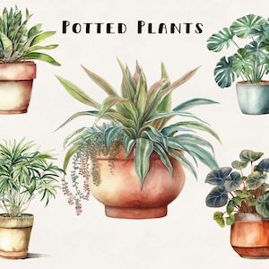 Paquete de imágenes prediseñadas de acuarela de plantas en maceta Uso comercial Paquete de diseño digital Collage Artesanía Archivos PNG