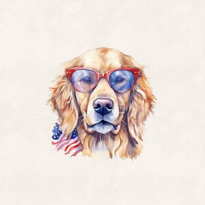 K&ouml;nnte beinhalten: Ein Golden Retriever mit roten Sonnenbrillen und einem rot-wei&szlig;-blauen Bandana. Der Hund schaut direkt in die Kamera.