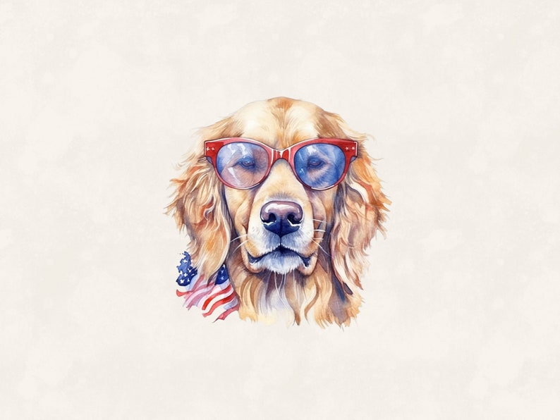 K&ouml;nnte beinhalten: Ein Golden Retriever mit roten Sonnenbrillen und einem rot-wei&szlig;-blauen Bandana. Der Hund schaut direkt in die Kamera.