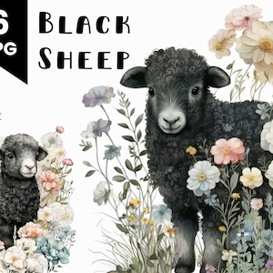 Zwarte schapen aquarel illustratie Odd Ball Clip Art Flower Field commercieel gebruik toegestaan digitaal ontwerp bundel collage ambachten POD JPG-bestanden