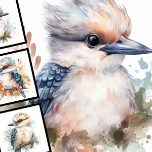 6 acuarela bebé Kookaburra pájaro ilustración vivero arte comercial uso diseño Digital paquete Kookaburra con flores POD archivos JPG