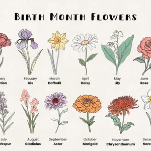 Pacote de clipart de flores do mês de nascimento Boho Uso comercial Flor de nascimento em aquarela Pacote de design digital Arquivos PNG para download Clipart POD