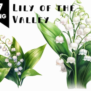 7 Muguet aquarelle Clipart Bundle Invitations de mariage Utilisation commerciale Digital Design Bundle Collage Artisanat Fichiers PNG