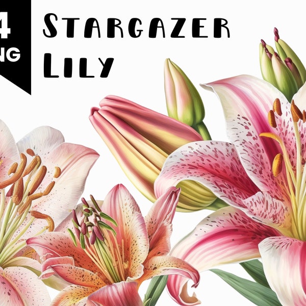 4 Stargazer Lily Clipart Bundle, Commercial Use Allowed, Digital Design Bundle, Collage Crafts, PNG files