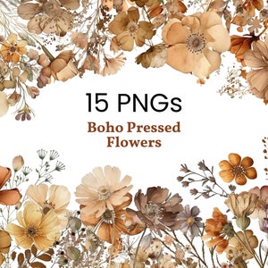 Boho prensado flor clip art flor seca aquarela ilustração uso comercial design digital pacote colagem artesanato floral clipart