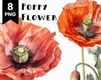 Watercolor Poppy Flower Clipart Bundle: Commercial Use PNG Files (Digital Download)