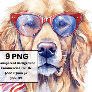K&ouml;nnte beinhalten: Ein Aquarellbild eines Golden Retrievers, der eine rote Sonnenbrille und ein rot-wei&szlig;-blaues Bandana tr&auml;gt. Der Hund schaut direkt auf den Betrachter. Der Hintergrund ist wei&szlig;.