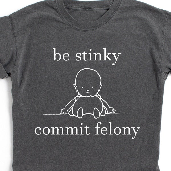 Stinky Commit Misdrijf Shirt Comfort Kleuren Grappig T-shirt Tshirt Tee T Tees Meme Unisex Mannen Vrouwen Dames Volwassen Gezegden Belastingfraude Vriendje