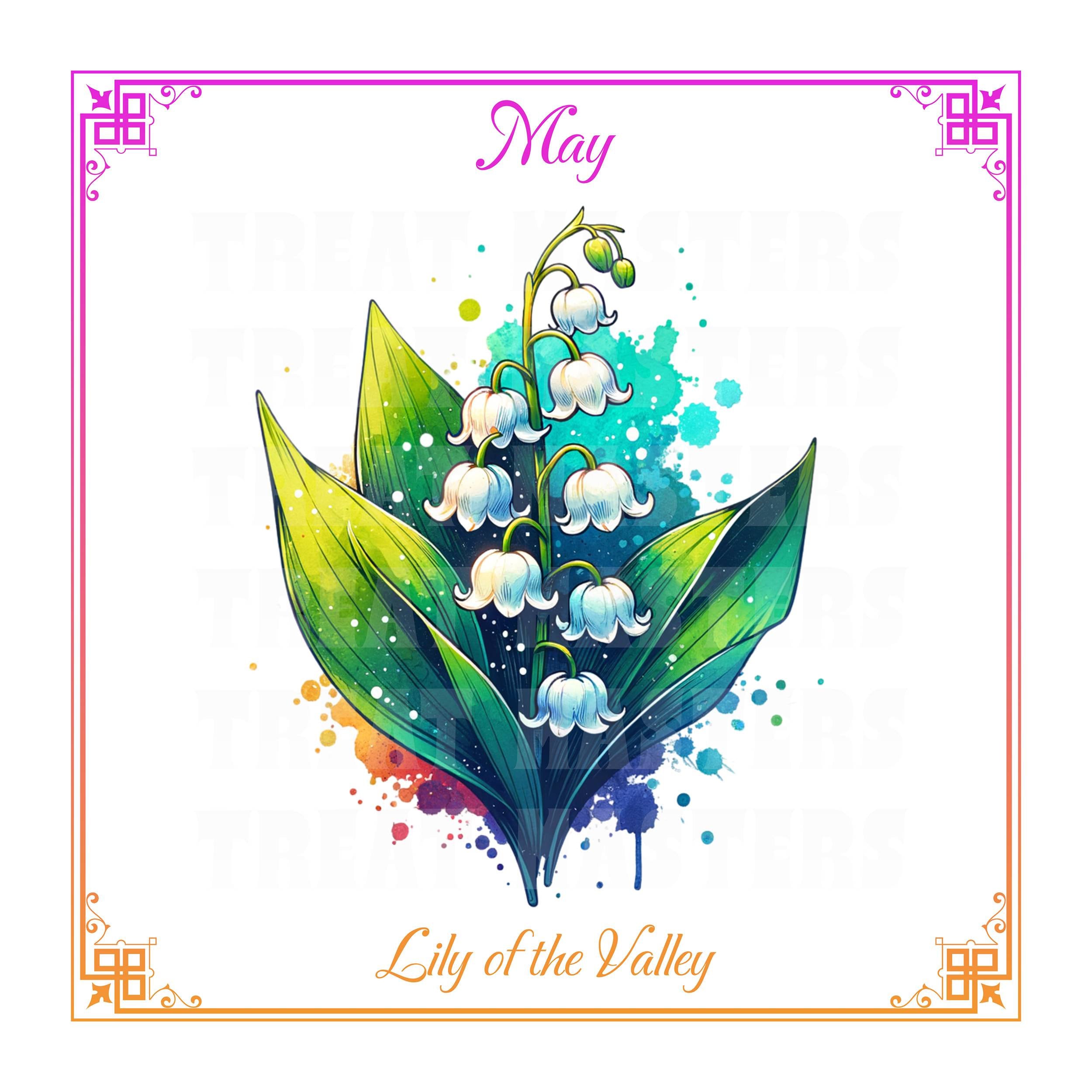 Lily of the Valley Watercolor Clipart, May Birth Flower (PNG, SVG) - Etsy, image size:2500x2500