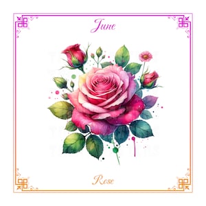 Juin Naissance Mois Fleur Aquarelle Clipart PNG SVG Image Bouquet de roses Anniversaire floral Amoureux des fleurs Cadeau pour les mères Botanique en téléchargement numérique