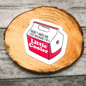 Don’t hate me just because I’m a lot cooler Sticker | laptop sticker | waterproof sticker| car decal | vinyl sticker | funny sticker
