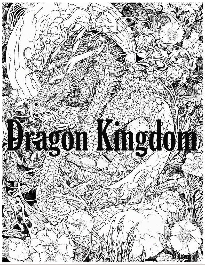 Dragon Kingdom 1 Instant Digital Download, 4 Adult Coloring Pages ...
