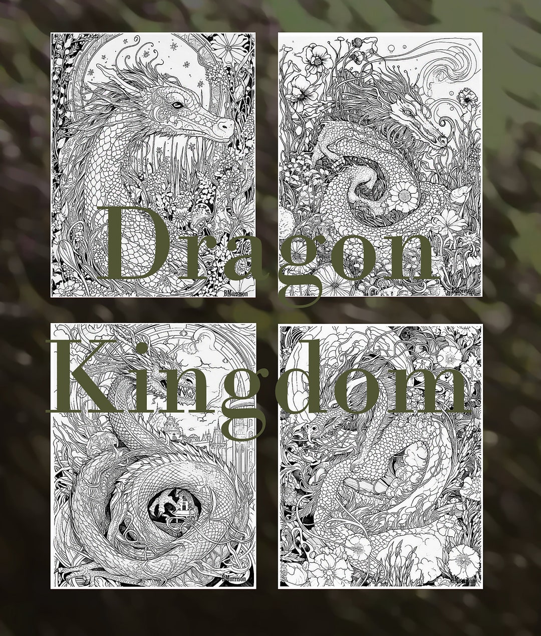 Dragon Kingdom 1 Instant Digital Download, 4 Adult Coloring Pages ...
