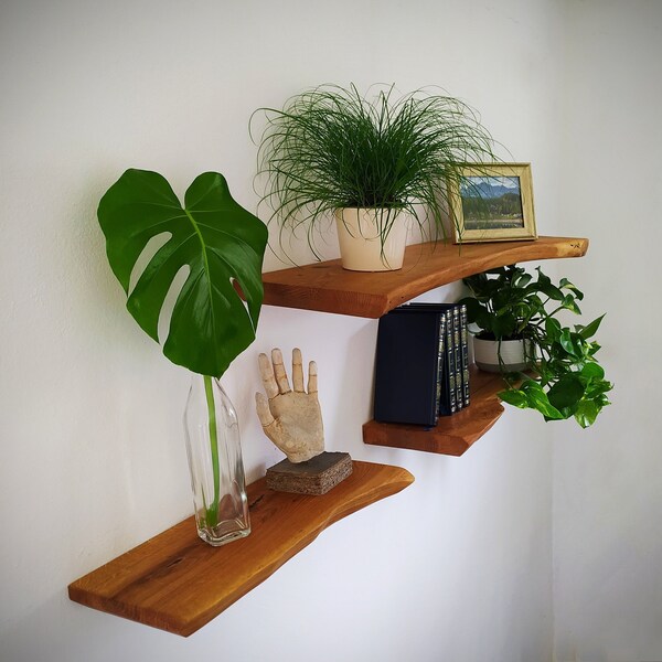 Live Edge Shelves Etsy