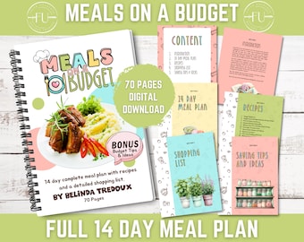 Meals on a Budget / Food Saving Tips & Ideas / Recipes / 14 Day Meal Plan /Budget Meals / Instant Download / Shopping List / Meal Plan /Save