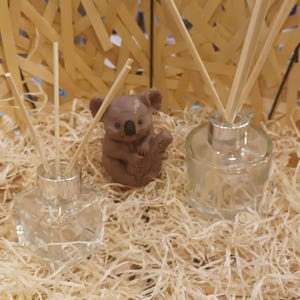 May include: Two clear glass bottles with wooden sticks inside, sitting on a bed of shredded wood. A small brown koala figurine is in the center of the image.