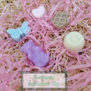 Floral scented melts