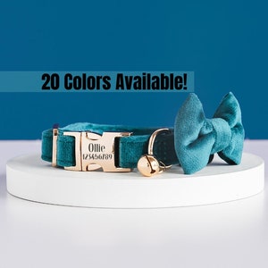 May include: Teal velvet cat collar with a gold buckle and a personalized name tag that reads "Ollie 123456789". The collar also has a small gold bell attached.