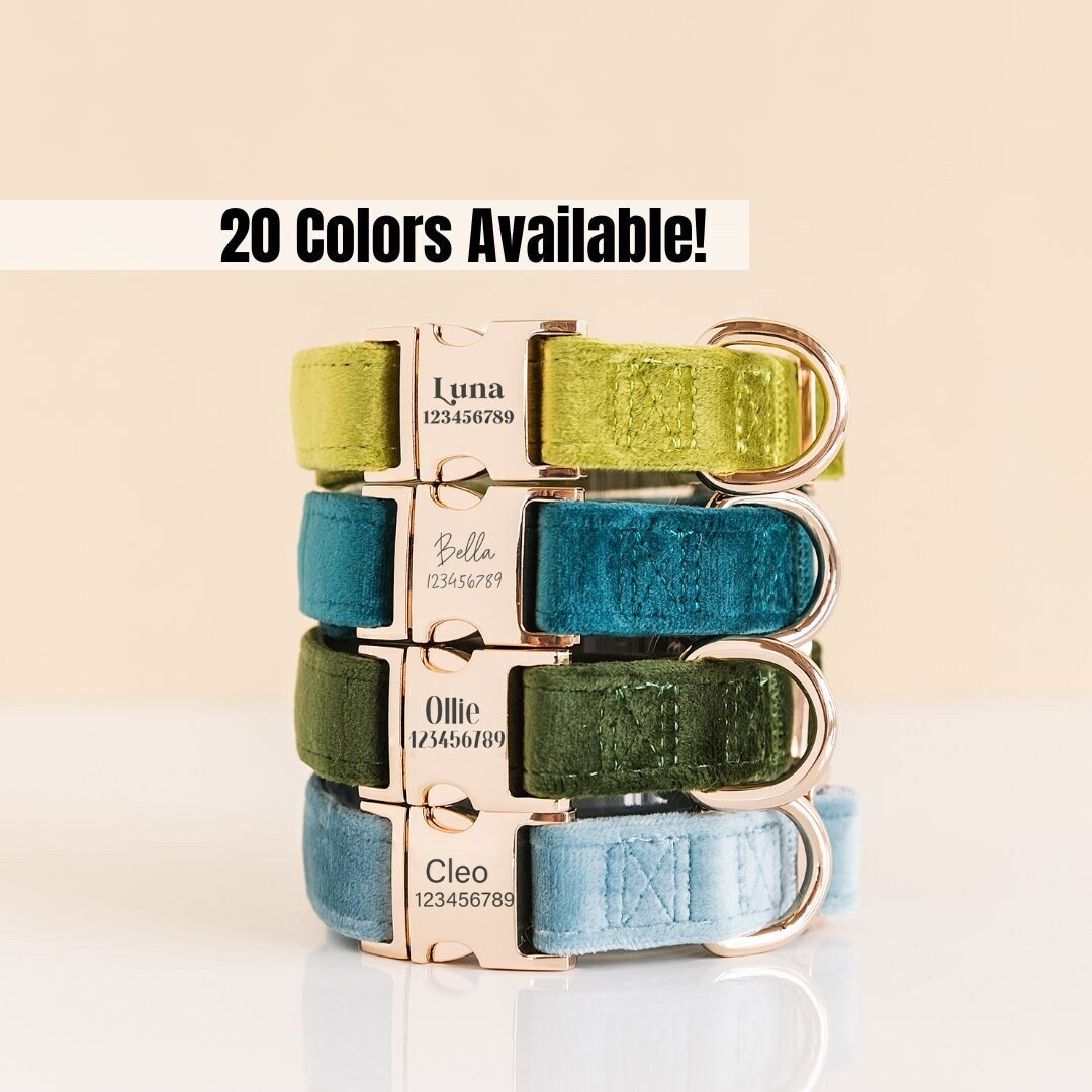 Custom Dog Collar, Personalized Dog Collar, Fancy Dog Collar Leash Set, Cute Dog Collar, Emerald