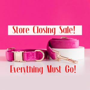 Pink Dog Collar and leash Set, Cute dog collar, Personalized Name Engraved Pet Collar Small Puppy, Custom Metal Buckle, Collar bow tie Lead