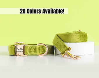 Velvet Luxury Avocado Green Dog Collar with Leash Set Gift for Pet Owner Cute Fancy Wedding Boy Girl Puppy Engraved Custom Collar