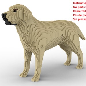 LEGO Labrador statue building instruction Instructions only no parts
