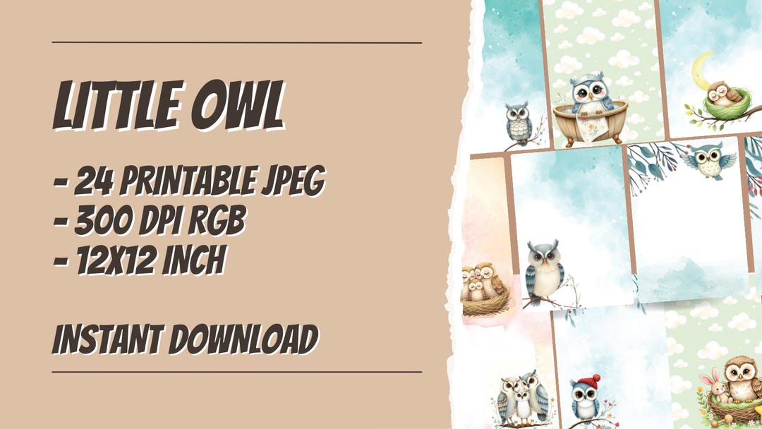 Little Owl Digital Paper Pack | 24 Scrapbook Papers | Cute Owl ...