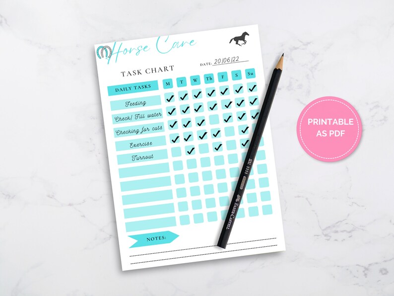 Equine Care Checklist, Horse Owner Printable, Pet Care Download