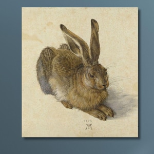 Albrecht Durer Young Hare Art: Animal Canvas Print