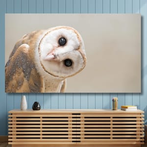 Contemporary Wall Art, Wall Decor, Modern Art, Wall Art, Owl Lover Gift Poster, Loft Canvas, Custom Canvas, Owl, Owl Canvas Art,